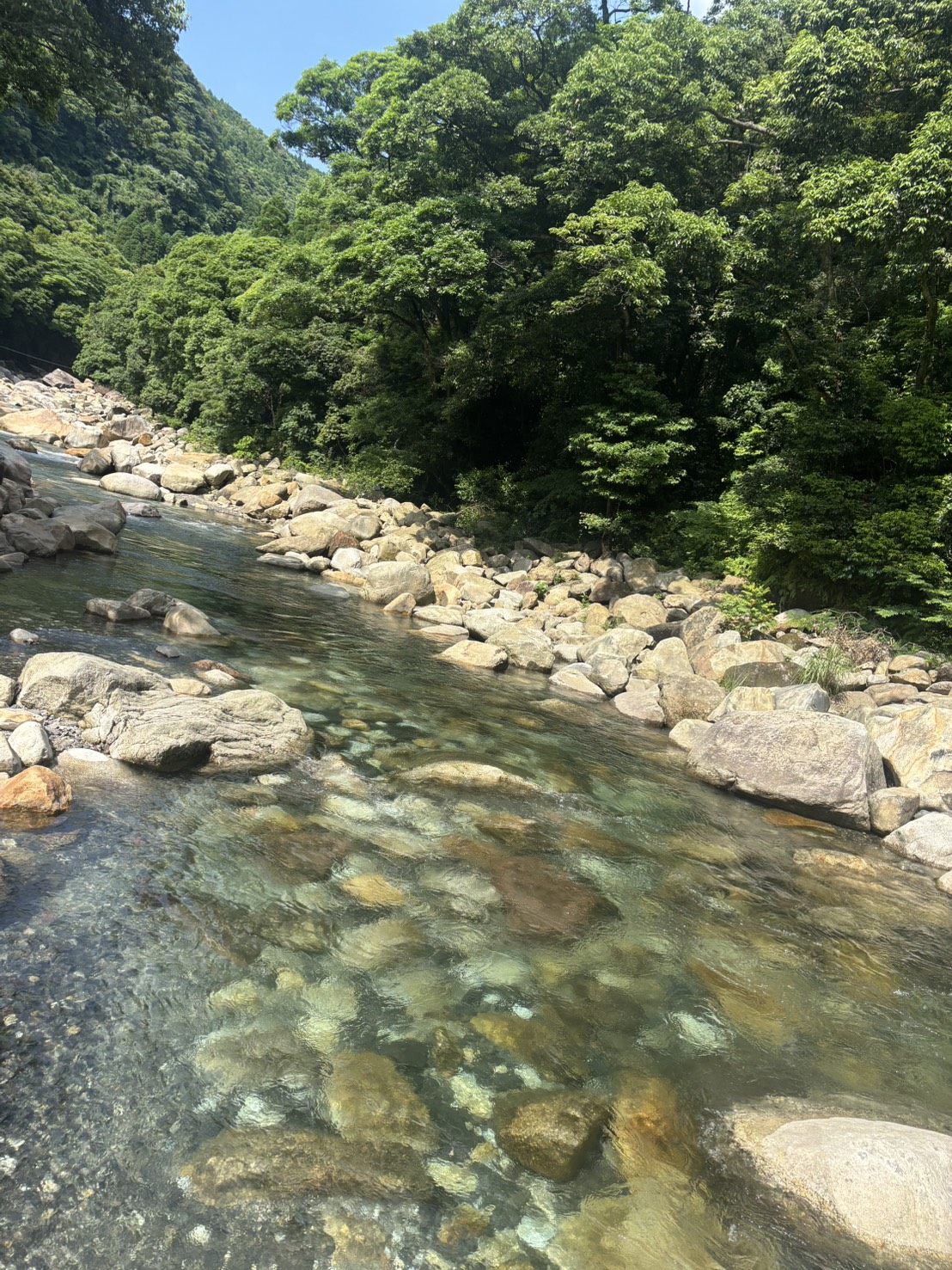 猿ヶ城渓谷の清流