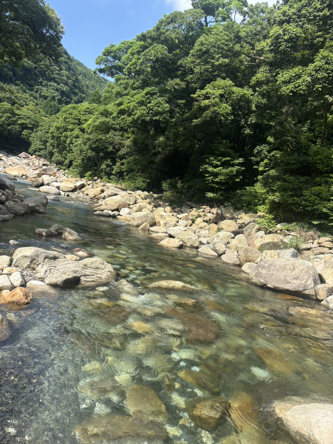 新緑の渓谷